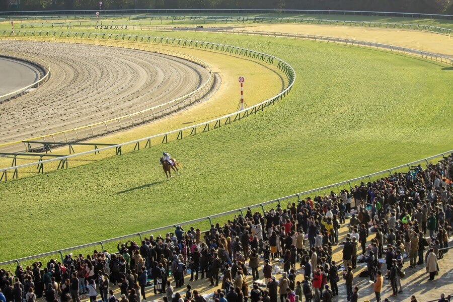 全ての競馬場が同じコースとは限らない