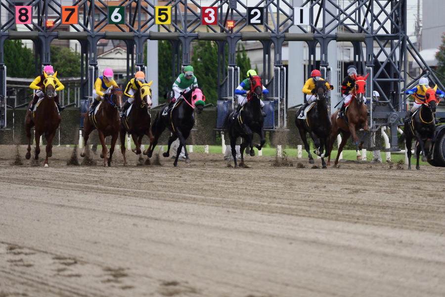 ダートコースの重馬場を得意とする血統