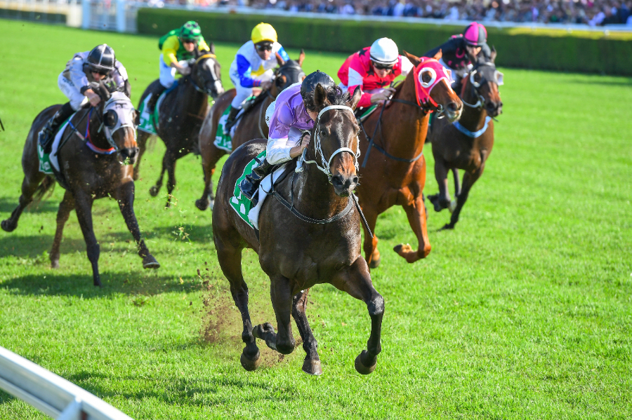 マイルの重馬場が得意な血統を紹介